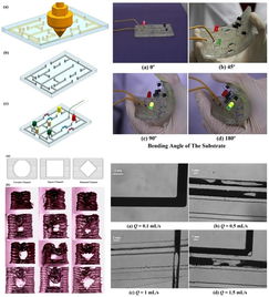 理化所開發液態金屬懸浮3D打印方法，開創柔性可拉伸電子器件制造新路徑